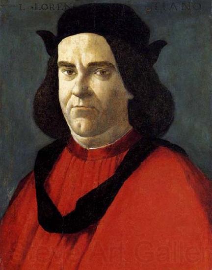 BOTTICELLI, Sandro Portrait of Lorenzo di Ser Piero Lorenzi Norge oil painting art